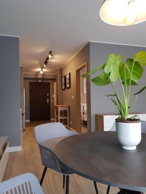 Apartament Triventi 88 Z Widokiem Na Sniezke - 5D Apartamenty Karpacz Exterior foto